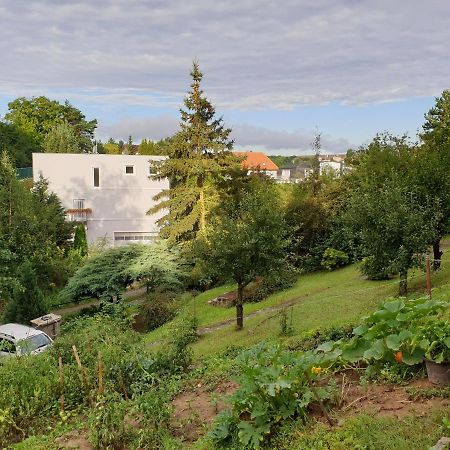 Birch Cottage Statenice Екстериор снимка